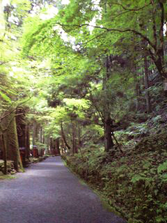 d0074622_1215510.jpg