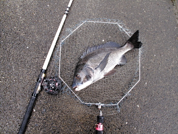 f0031423_8444497.jpg