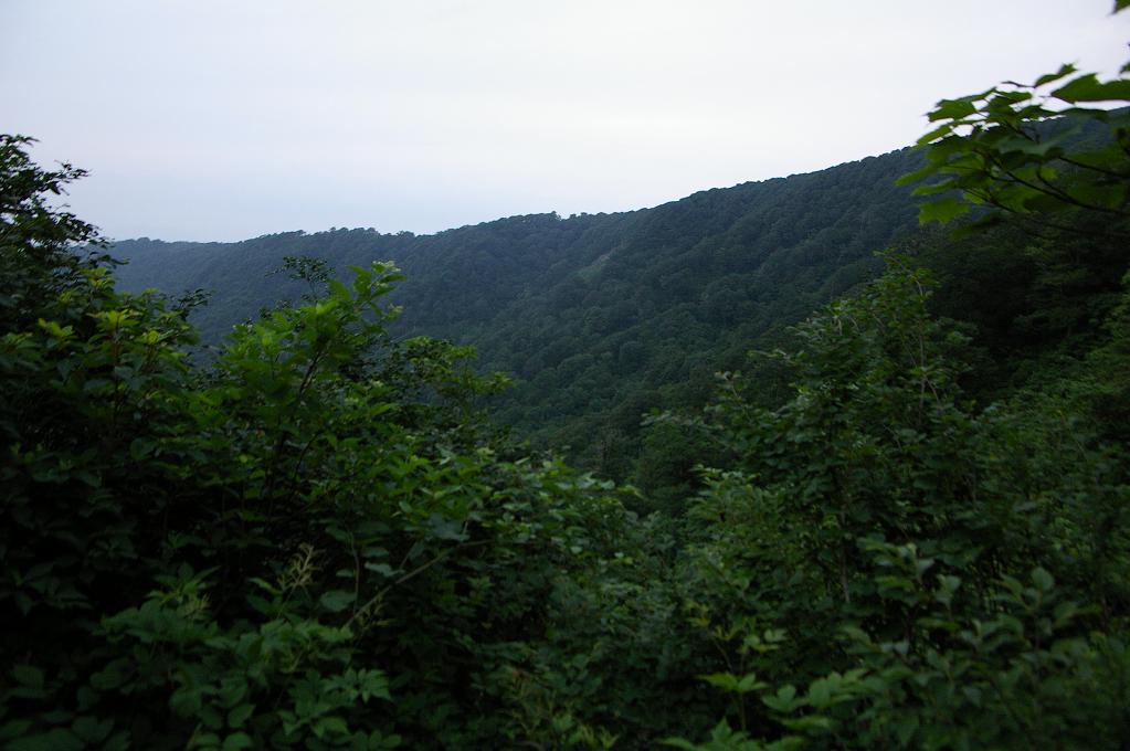 b0062024_633528.jpg