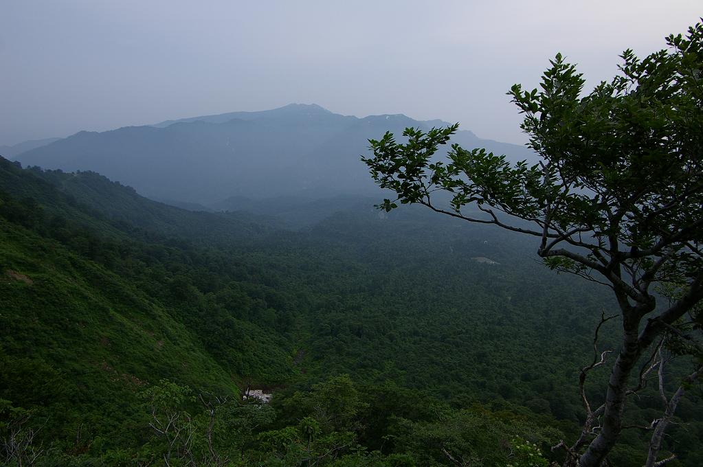 b0062024_6351256.jpg