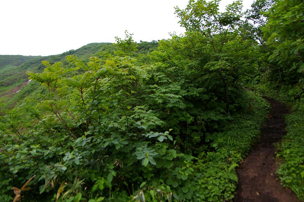 b0062024_6355052.jpg