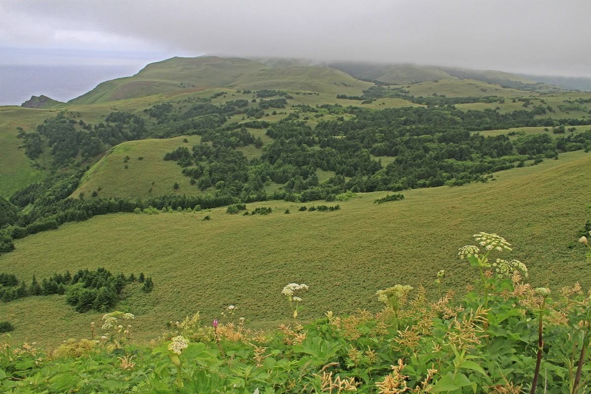 c0104227_17341011.jpg