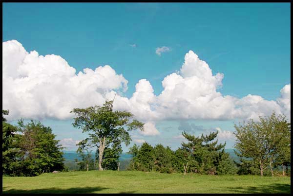 d0029829_2401817.jpg