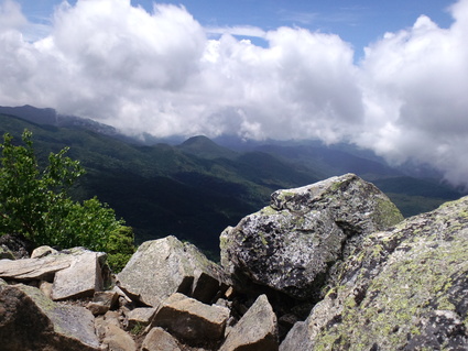 c0108034_23124914.jpg