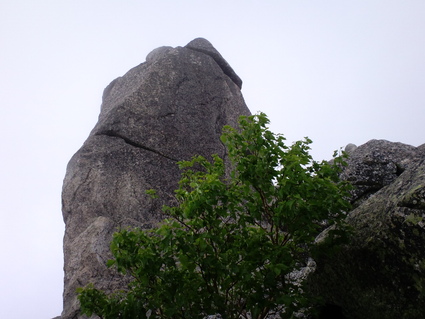c0108034_2326155.jpg