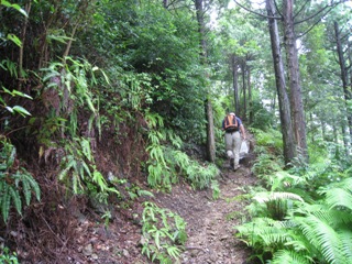 c0077338_1803935.jpg