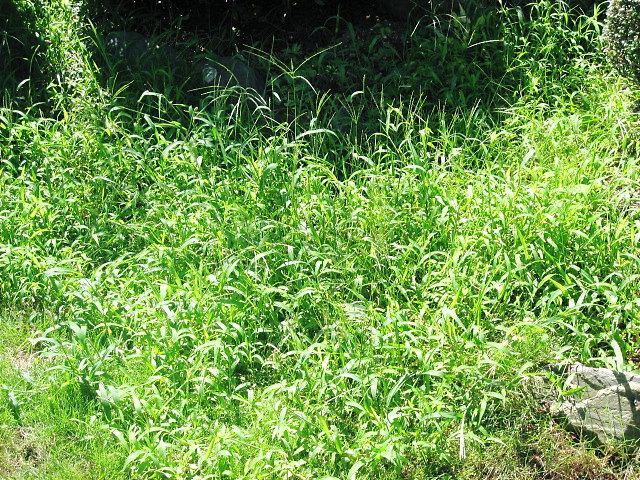 a0149240_93620100.jpg