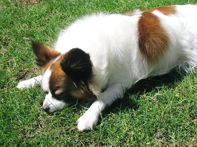 a0149240_9451570.jpg