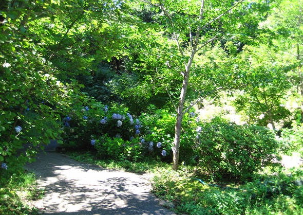 b0149340_2071227.jpg