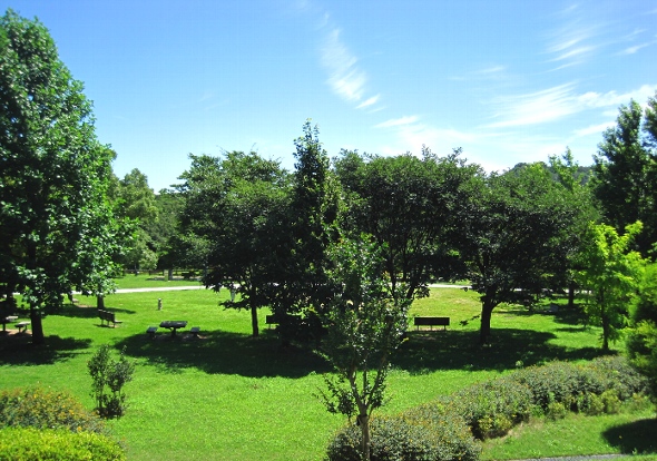 b0149340_2072594.jpg