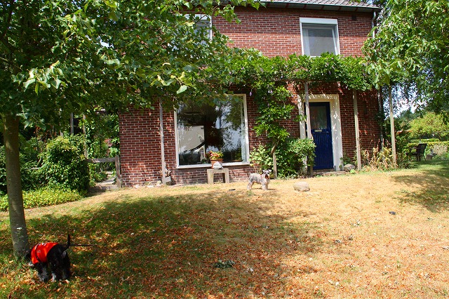 c0153740_448291.jpg