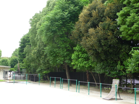 b0190242_12351222.jpg
