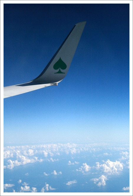 d0173942_22532781.jpg