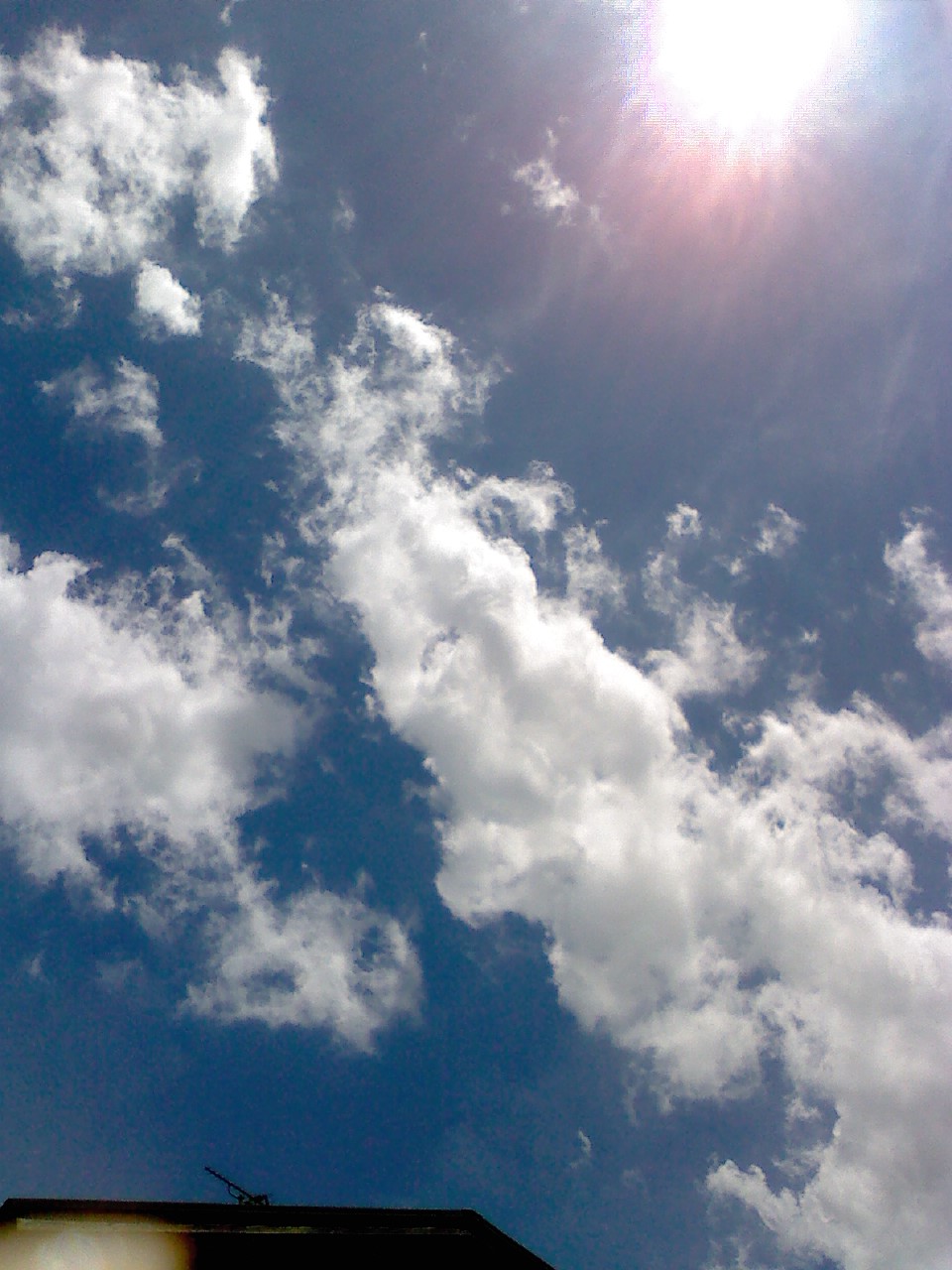 f0172142_1084140.jpg