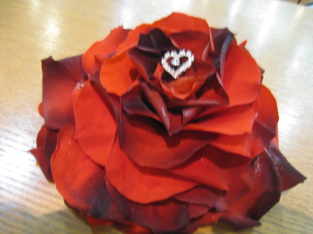 c0177951_11334118.jpg