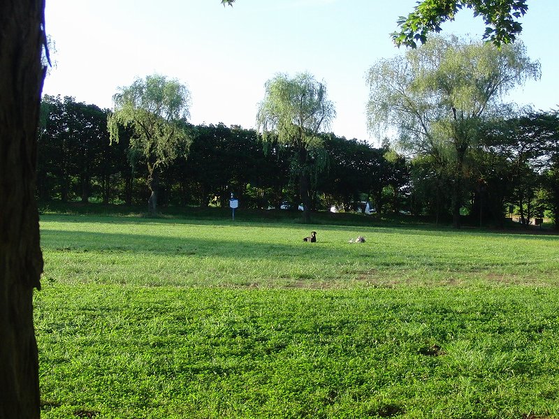 b0129954_12373921.jpg