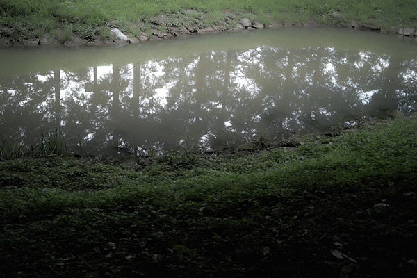 f0206356_13545273.jpg