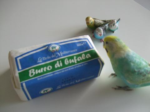 f0149057_0175569.jpg
