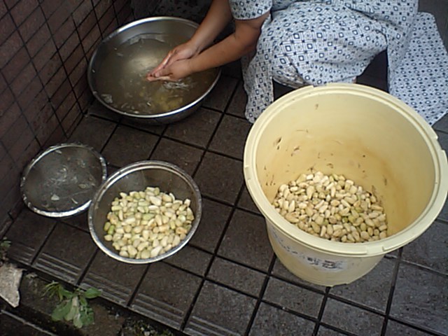d0150060_22244393.jpg