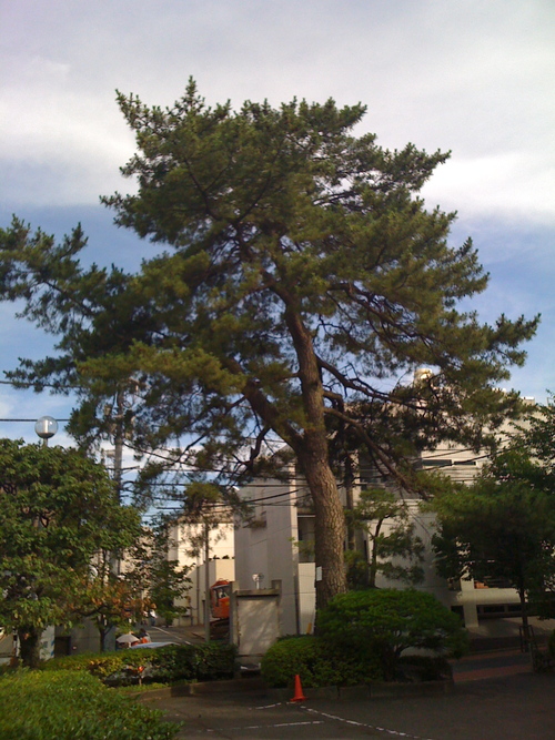 d0134361_249057.jpg