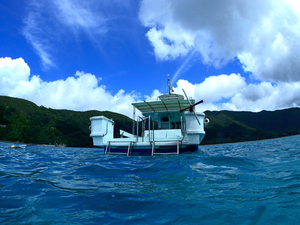 b0062363_2057710.jpg