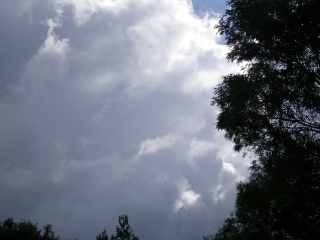 f0055264_0134599.jpg