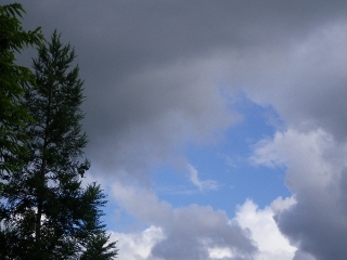 f0055264_0141983.jpg