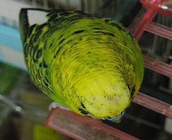 f0196665_0104647.jpg