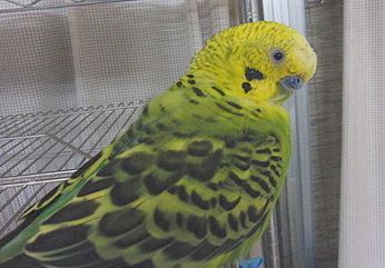 f0196665_013166.jpg