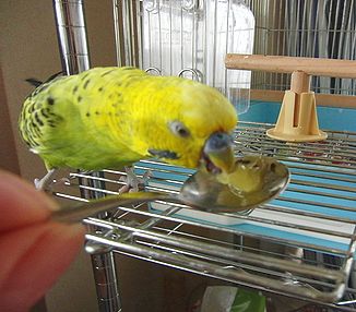 f0196665_0281746.jpg