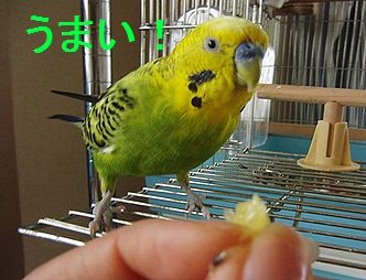 f0196665_0283189.jpg