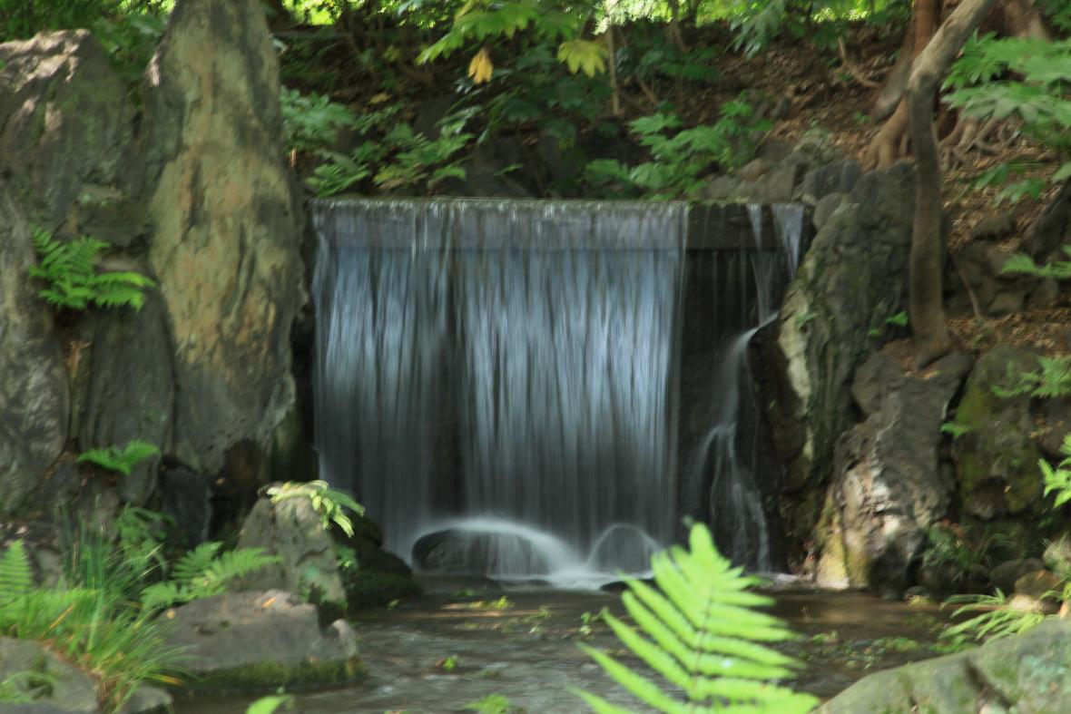 a0042970_1124974.jpg