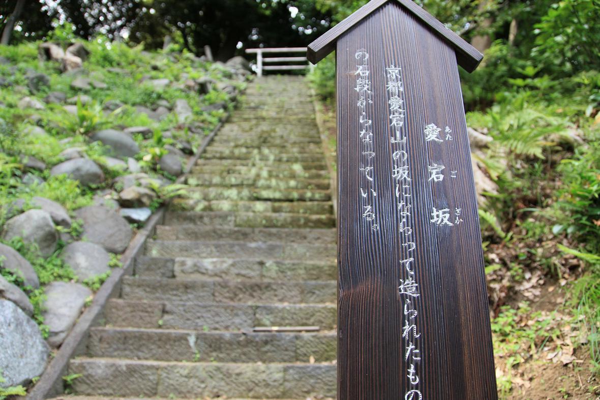 a0042970_117228.jpg
