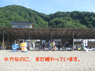 d0050871_18163312.gif