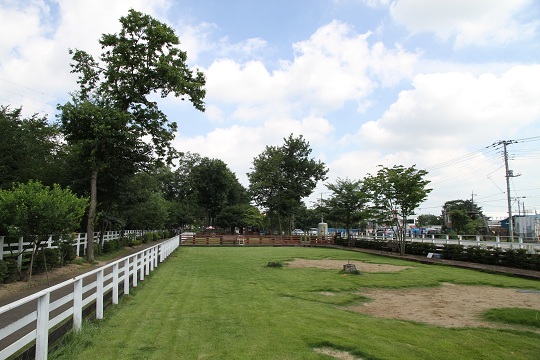 e0062371_19135284.jpg