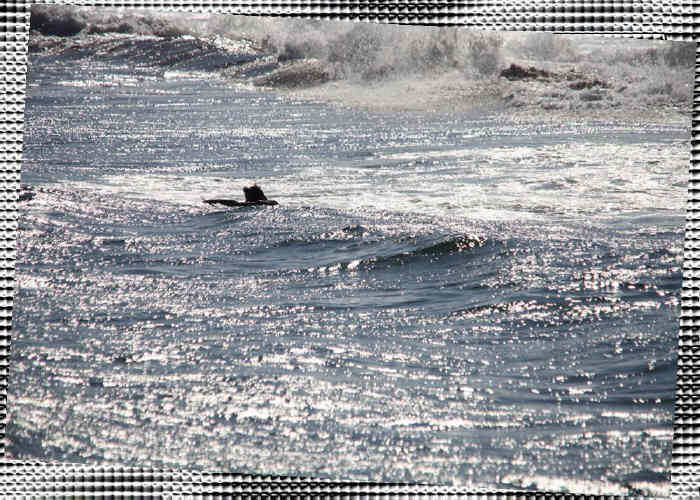 f0182571_181875.jpg