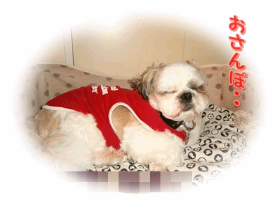 f0213476_75544.gif