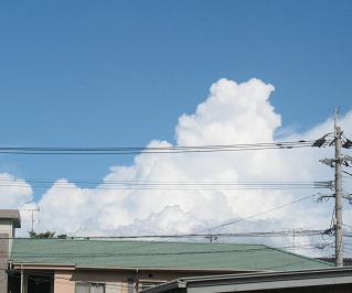 e0130185_16363778.jpg
