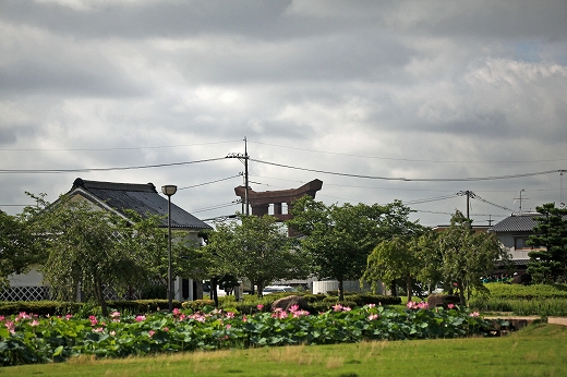 e0190885_1713733.jpg