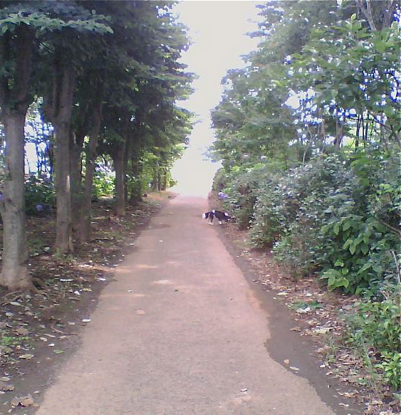 d0122088_2281228.jpg