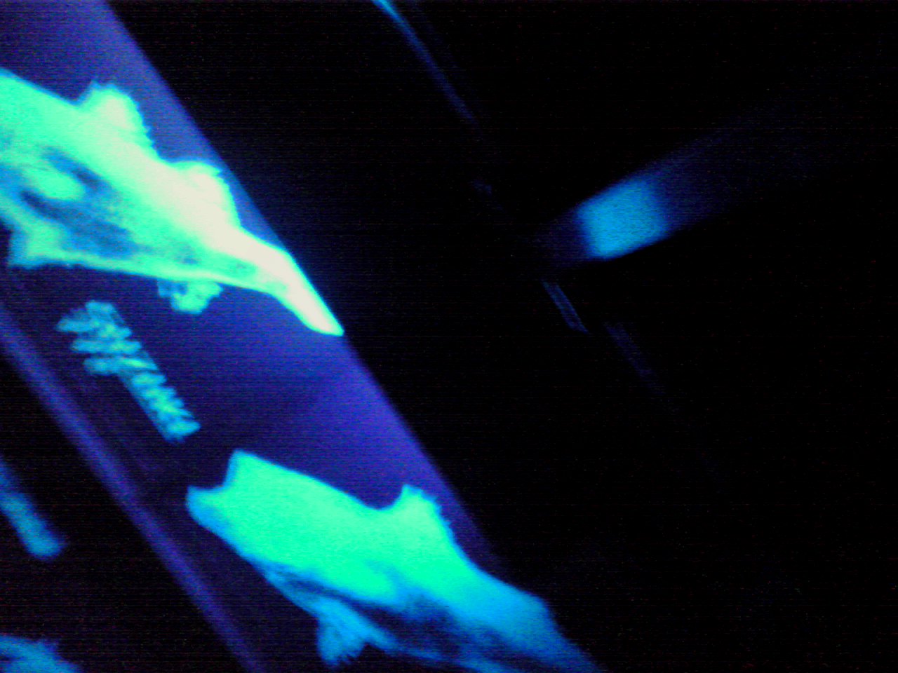 d0178788_1135441.jpg