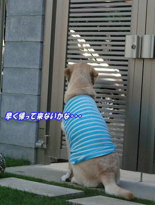 c0028792_23404987.jpg