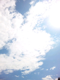d0143192_1513985.jpg