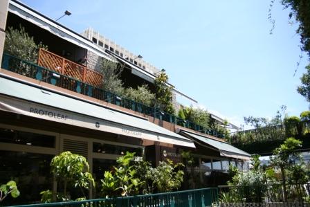 e0166094_1705945.jpg