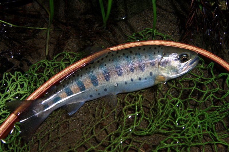 f0129994_19201641.jpg