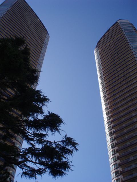 f0130894_1895859.jpg