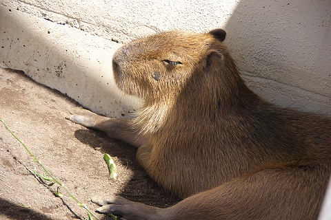 a0023397_2322726.jpg