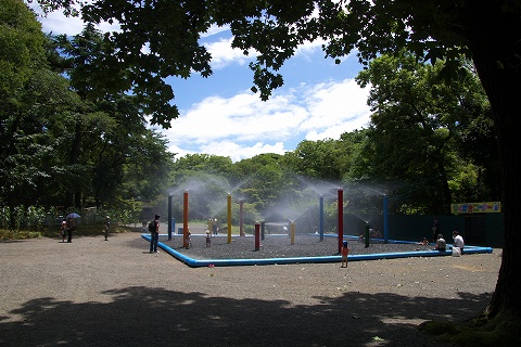 a0023397_233438.jpg