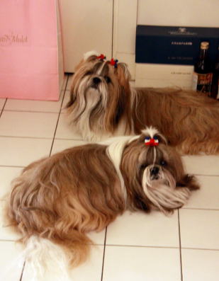 c0090198_34092.jpg
