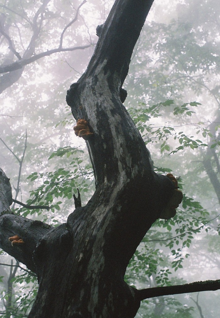 f0220698_2230558.jpg